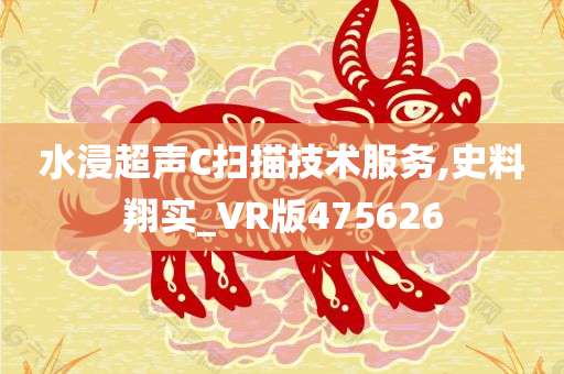 水浸超声C扫描技术服务,史料翔实_VR版475626