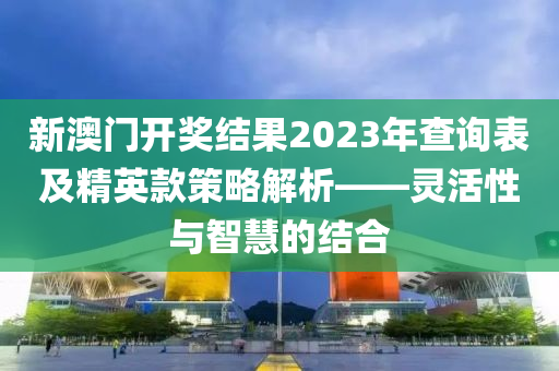 新澳门开奖结果2023年查询表及精英款策略解析——灵活性与智慧的结合