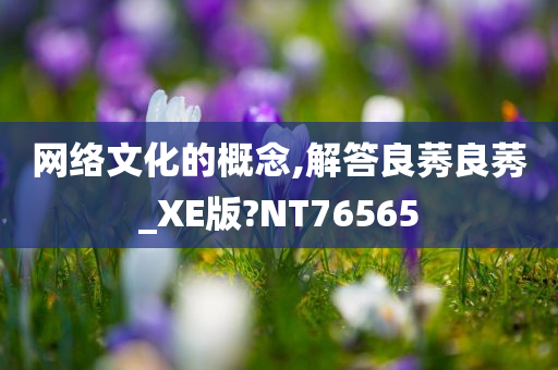 网络文化的概念,解答良莠良莠_XE版?NT76565