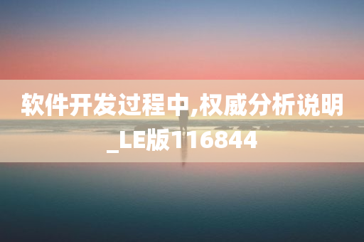 软件开发过程中,权威分析说明_LE版116844