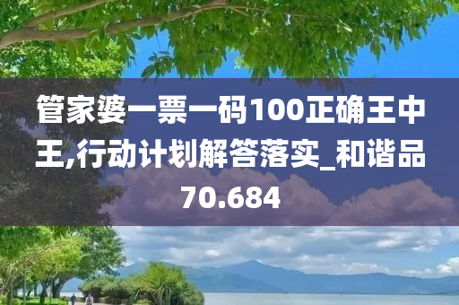 管家婆一票一码100正确王中王,行动计划解答落实_和谐品70.684