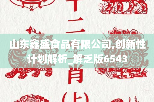 山东鑫盛食品有限公司,创新性计划解析_解乏版6543