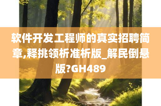 软件开发工程师的真实招聘简章,释挑领析准析版_解民倒悬版?GH489