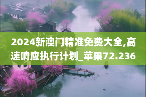 2024新澳门精准免费大全,高速响应执行计划_苹果72.236