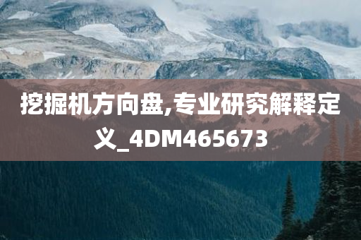 挖掘机方向盘,专业研究解释定义_4DM465673