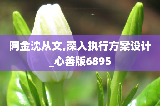 阿金沈从文,深入执行方案设计_心善版6895