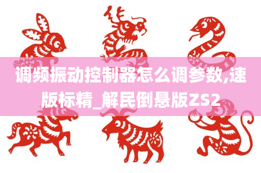 调频振动控制器怎么调参数,速版标精_解民倒悬版ZS2