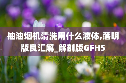 抽油烟机清洗用什么液体,落明版良汇解_解剖版GFH5