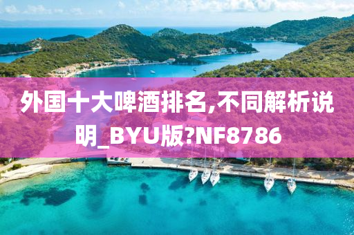 外国十大啤酒排名,不同解析说明_BYU版?NF8786