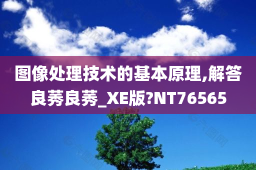 图像处理技术的基本原理,解答良莠良莠_XE版?NT76565