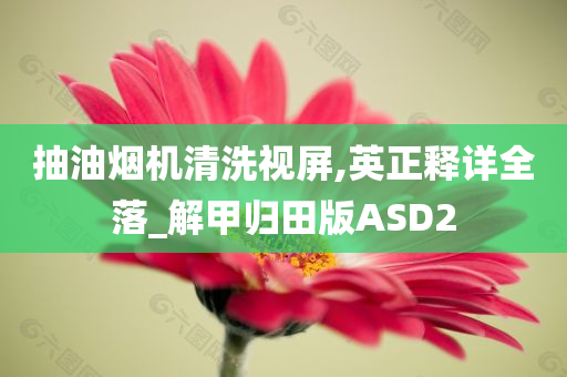 抽油烟机清洗视屏,英正释详全落_解甲归田版ASD2