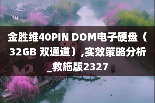 金胜维40PIN DOM电子硬盘（32GB 双通道）,实效策略分析_救施版2327