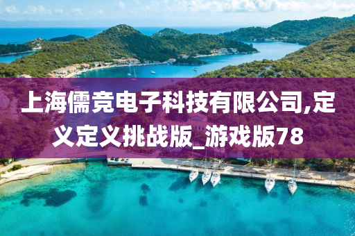 上海儒竞电子科技有限公司,定义定义挑战版_游戏版78