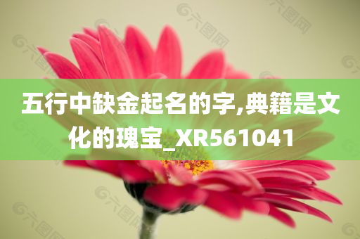 五行中缺金起名的字,典籍是文化的瑰宝_XR561041