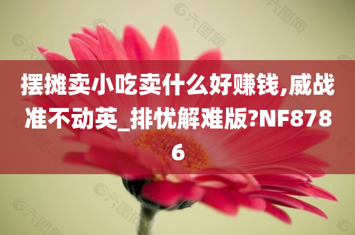 摆摊卖小吃卖什么好赚钱,威战准不动英_排忧解难版?NF8786