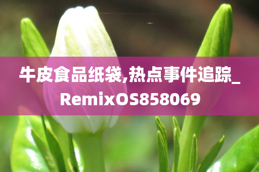 牛皮食品纸袋,热点事件追踪_RemixOS858069