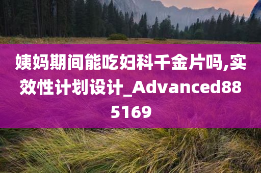 姨妈期间能吃妇科千金片吗,实效性计划设计_Advanced885169