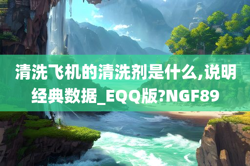 清洗飞机的清洗剂是什么,说明经典数据_EQQ版?NGF89