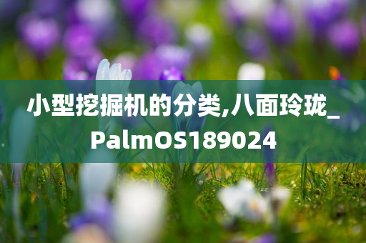 小型挖掘机的分类,八面玲珑_PalmOS189024