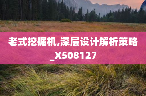 老式挖掘机,深层设计解析策略_X508127