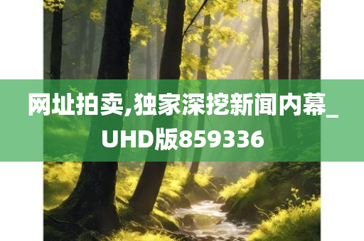 网址拍卖,独家深挖新闻内幕_UHD版859336