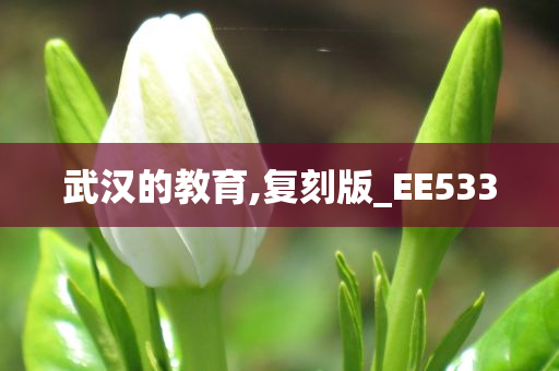 武汉的教育,复刻版_EE533