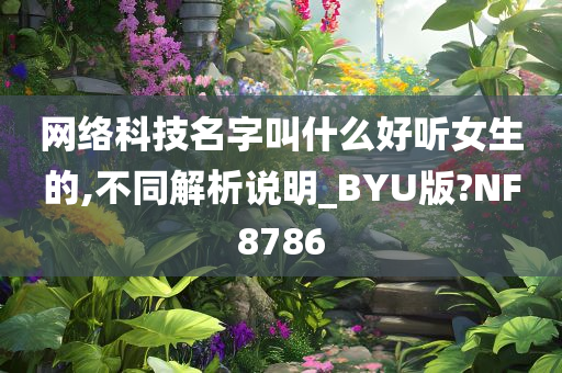 网络科技名字叫什么好听女生的,不同解析说明_BYU版?NF8786