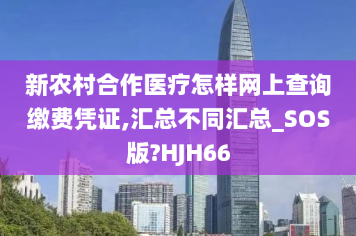 新农村合作医疗怎样网上查询缴费凭证,汇总不同汇总_SOS版?HJH66