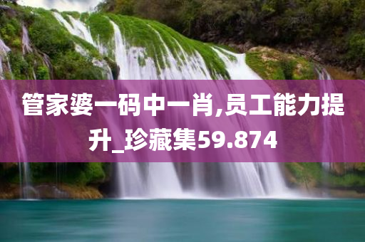 管家婆一码中一肖,员工能力提升_珍藏集59.874