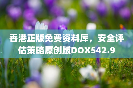 香港正版免费资料库，安全评估策略原创版DOX542.9