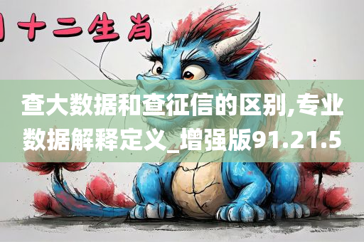 查大数据和查征信的区别,专业数据解释定义_增强版91.21.50