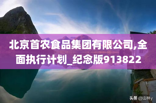 北京首农食品集团有限公司,全面执行计划_纪念版913822