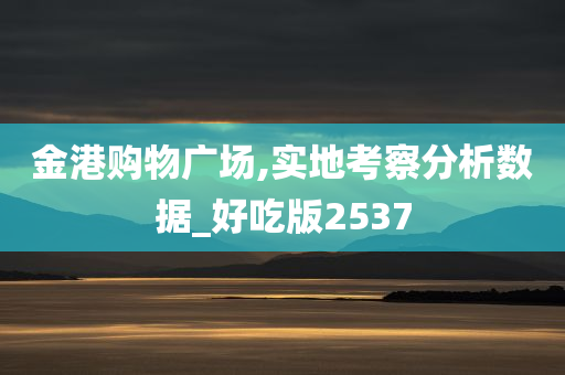 金港购物广场,实地考察分析数据_好吃版2537