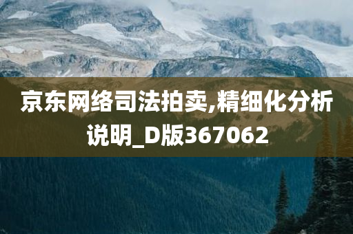 京东网络司法拍卖,精细化分析说明_D版367062