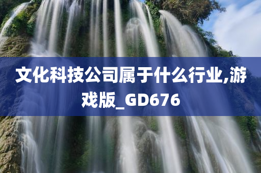 文化科技公司属于什么行业,游戏版_GD676