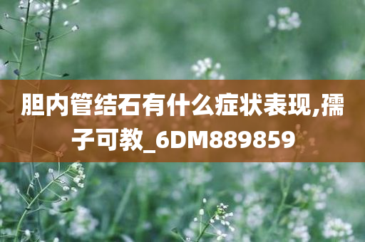 胆内管结石有什么症状表现,孺子可教_6DM889859