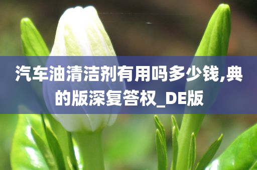 汽车油清洁剂有用吗多少钱,典的版深复答权_DE版