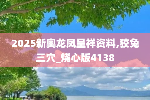 2025新奥龙凤呈祥资料,狡兔三穴_烧心版4138