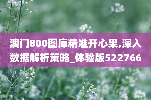 澳门800图库精准开心果,深入数据解析策略_体验版522766