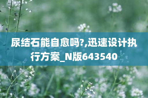 尿结石能自愈吗?,迅速设计执行方案_N版643540