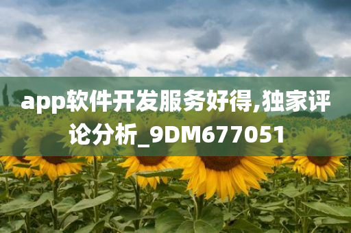 app软件开发服务好得,独家评论分析_9DM677051