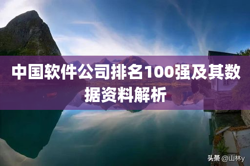 中国软件公司排名100强及其数据资料解析