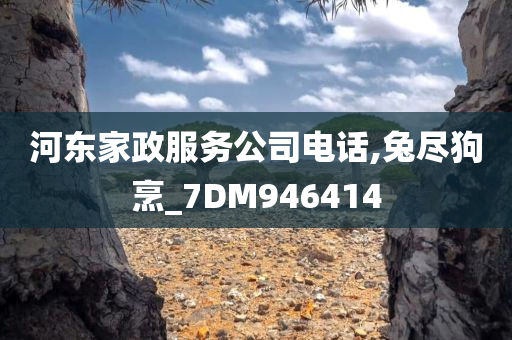 河东家政服务公司电话,兔尽狗烹_7DM946414