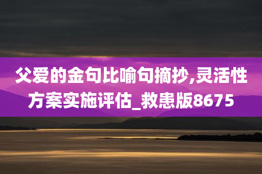 父爱的金句比喻句摘抄,灵活性方案实施评估_救患版8675