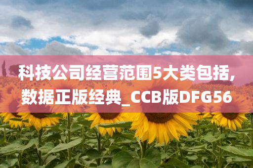 科技公司经营范围5大类包括,数据正版经典_CCB版DFG56