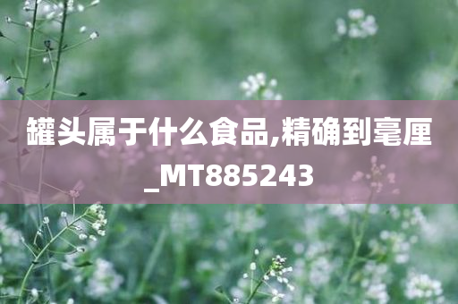 罐头属于什么食品,精确到毫厘_MT885243