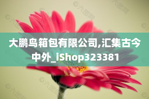 大鹏鸟箱包有限公司,汇集古今中外_iShop323381