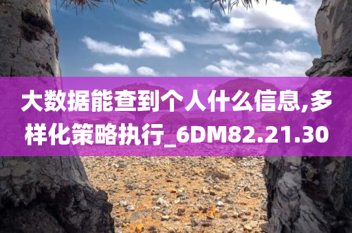 大数据能查到个人什么信息,多样化策略执行_6DM82.21.30