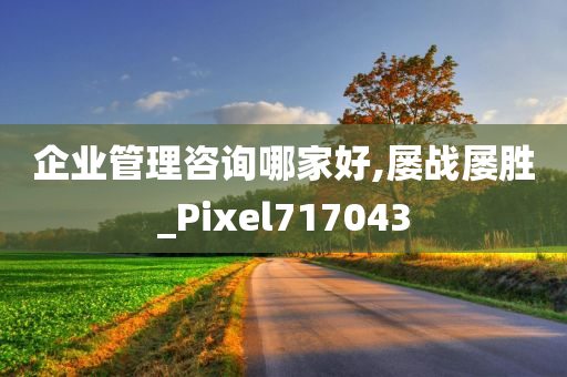 企业管理咨询哪家好,屡战屡胜_Pixel717043