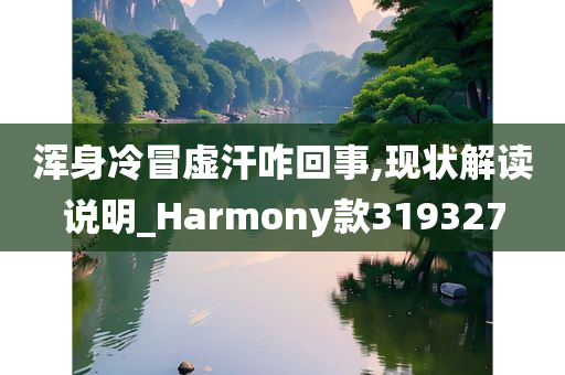 浑身冷冒虚汗咋回事,现状解读说明_Harmony款319327